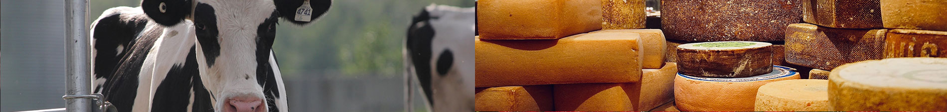 Ridgecrest Dairy