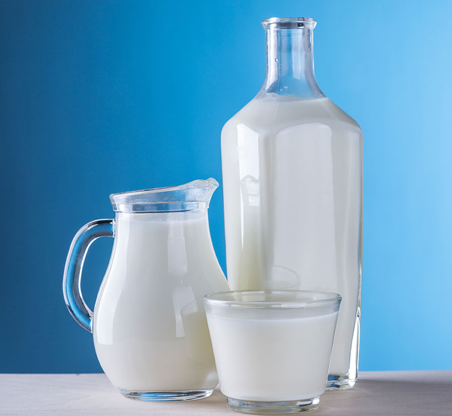 Fresh and Local Dairy Products
